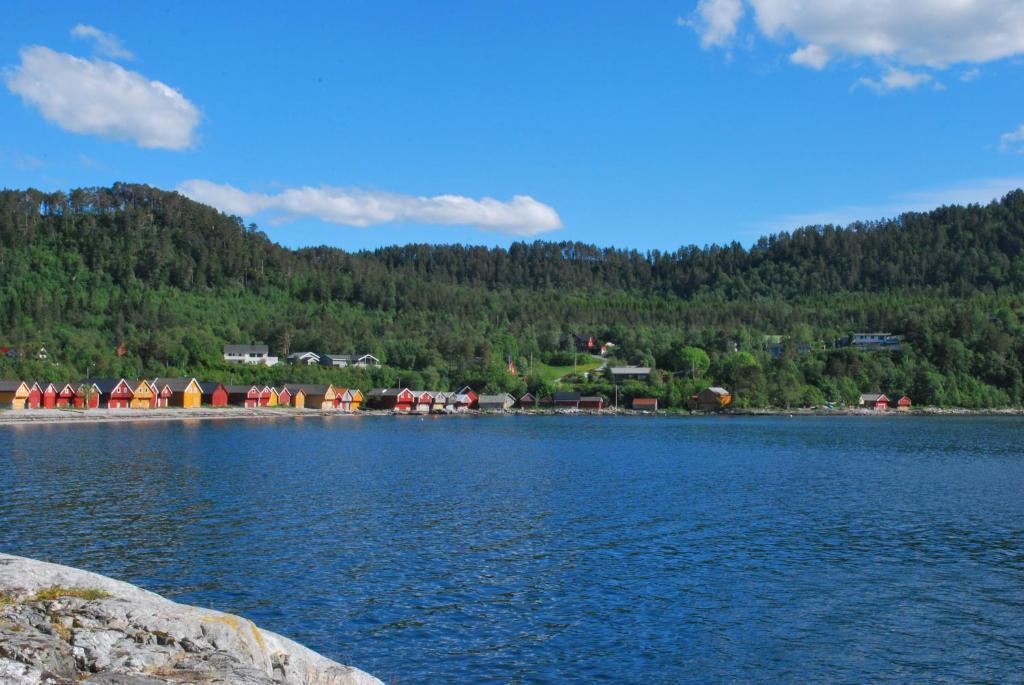 Sjoholt Camping Экстерьер фото